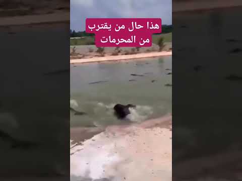 هذا حال من يقترب من المحرمات