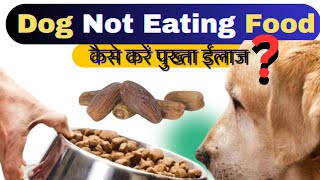 Dog Not Eating Food What to Do ? पुख्ता ईलाज Dog Kuch Nahi Kha Raha hai