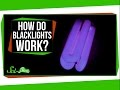 Understanding Blacklights