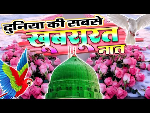 खूबसूरत नात शरीफ 2025 | Beautiful New Naat Sharif 2025 | Faizan Nizami ki Naat | #ahsani_network