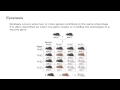 Understanding Epistasis