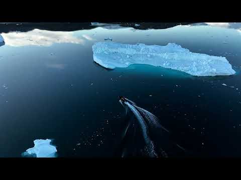 Greenland by Drone - McKay Photography Academy & Poseidon Expeditions