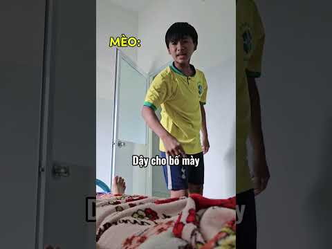 CHÓ VÀ MÈO KHI XIN ĂN KIỂU #tranvyvy
