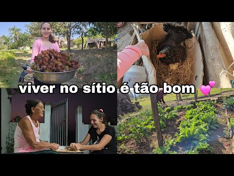 aqui é simples mas nao falta amor/ CASA DE MAE/colhi urucum/A VIDA NO SÍTIO É TAO BOM