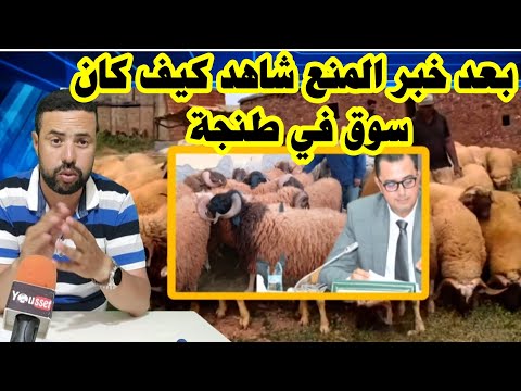 هكذا كان سوق الحوالة بطنجة بعد خبر منع الأسواق