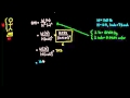 Understanding BMI: Concepts and Calculations