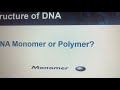 Understanding DNA Structure and Nucleotides