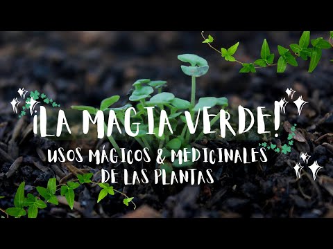 MAGIA VERDE / Usos mágicos y medicinales de las plantas