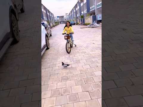 amaira n aj pigeon bacha Liya #shorts #thegeetagurjar