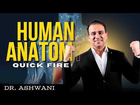 ANATOMY QUICK FIRE