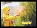 Understanding Visual Perception and Weather
