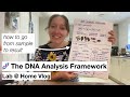 DNA Analysis Techniques and Protocols