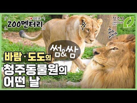 바람이 도도 합사 성공했ZOO! 썸일까? 쌈일까? 바람이와 도도의 썸&쌈