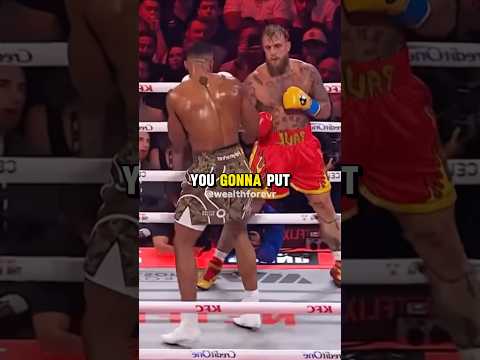 Mikki Mase Bet On Jake Paul