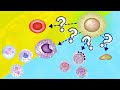 Blood Cell Formation and Differentiation