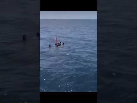 Scuba Dive Boat Loses Divers at Sea! #scubadiving #snorkeling #lostatsea