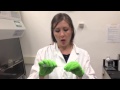 Safe Handling of Sharps in Laboratories