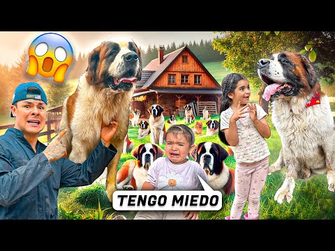 Les PRESENTAMOS nuestros 24 PERROS a nuestras HIJAS😱🐶