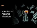 Exploring Inherited and Acquired Mutations