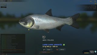 The Fisher Online - Ukraine - Delta du Dniepr - Carpes Marbrée - Argentée & Amour