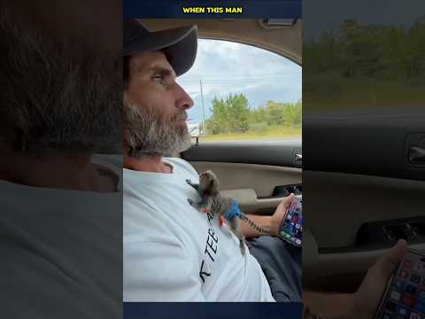 Tiny Monkey & A Heartwarming Bond