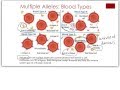 Blood Types and Genetics Concepts