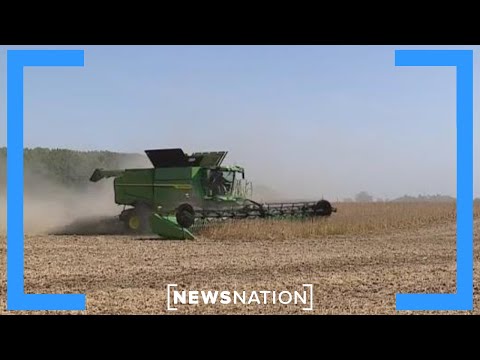YouTube video thumbnail: Farmers Filing for Bankruptcy as Inflation Hits Seed Prices