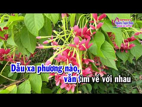 Karaoke BAO GIỜ MÌNH CHUNG ĐÔI – TONE NAM [T/g Hưng Bình Nguyên ]