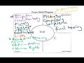 VCAT Dispute Resolution Concepts
