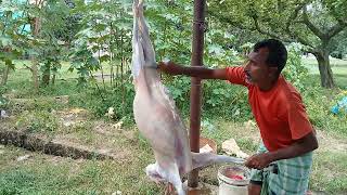 Full Goat Cutting Video || Professional Butcher’s Fast & Clean Skills from Start to Finish!