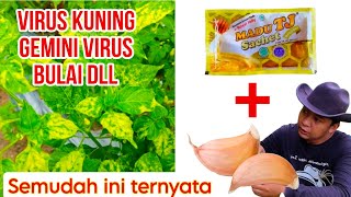 Separah Apapun Tanaman bisa Pulih dengan Madu + Bawang Putih..!!