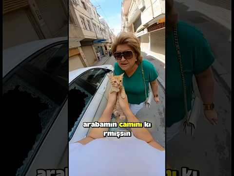 Kedi için aabanın camını kırmak zorunda kaldı ❤️🩹 #shorts #hayvanlar