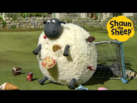 Shaun the Sheep 🐑 The Hungry Sheep - Cartoons for Kids 🐑 Full Episodes Compilation [1 hour]