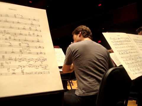 Dante de Simone - Flautista