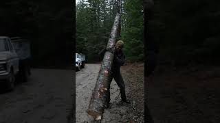 Turning a Tree into a Trailer