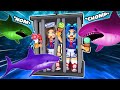 Shark Encounter Strategies and Outcomes