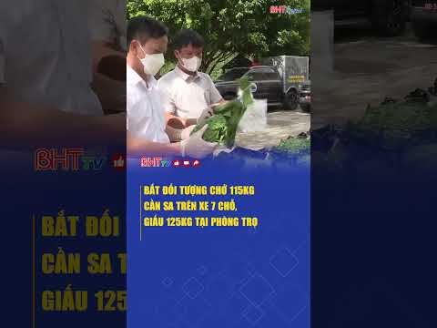 Bắt đối tượng chở 115kg cần sa trên xe 7 chỗ, giấu 125kg tại phòng trọ | Truyền hình Hà Tĩnh