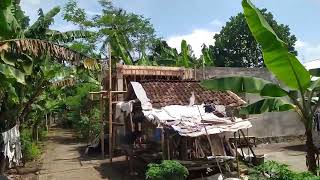 Suasana Rumah Didesa