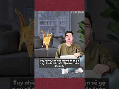 Sẽ ra sao nếu bạn là người cuối cùng trên trái đất | Dathaa sub #hoathinhtrungquoc  #animation