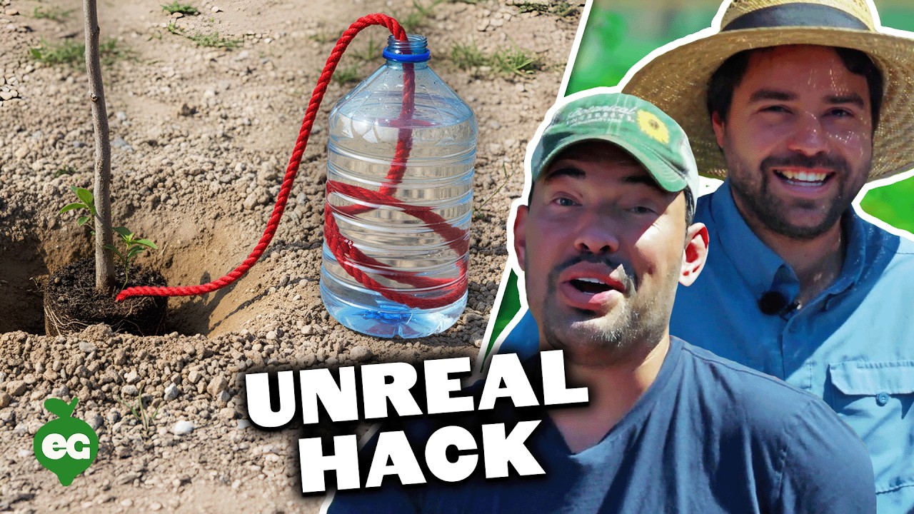 Pro Gardeners React To Futuristic Gardening Hacks