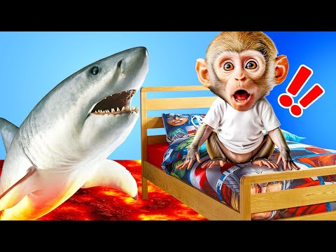 Monkey baby Shark 🤣 Best Compilation | Monkey Baby Show #monkeybaby #monkeybabyshark