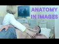 Medical Imaging Techniques and Applications