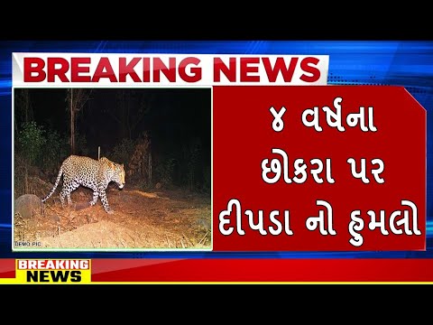 ૪ વર્ષના છોકરા પર દીપડા નો હુમલો