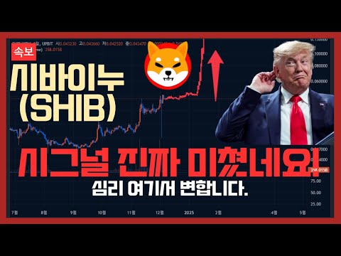 시바이누코인 트럼프의 계획? 정확한 매수금액과 매도금액 예측하는법 #SHIB