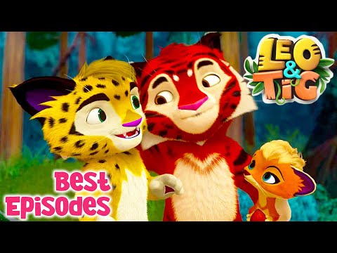 LEO and TIG ๐ฆ ๐ฏ Best Episodes 2022 ๐ Episodes collection ๐ Moolt Kids Toons Happy Bear