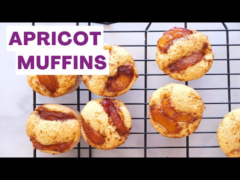 Apricot Muffins Recipe