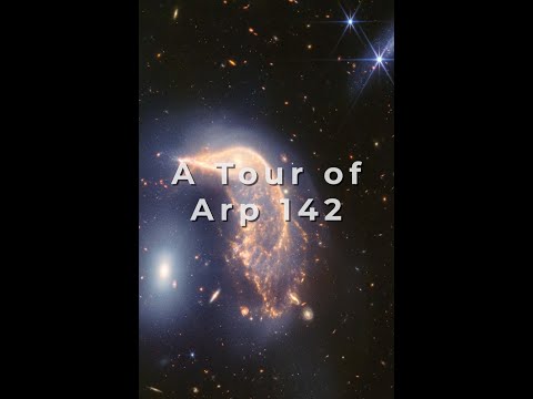 A Tour of Arp 142