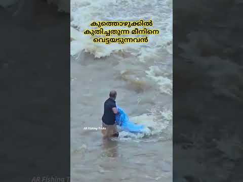 കുത്തൊഴുക്കിലെ മീൻ വേട്ടക്കാരൻ ? ആമീൻ ഇക്കാ #viralvideo #fishing #fishingvideo #reels #fish #viral