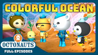 ​@Octonauts - 🌈 Colorful Ocean  🌊 | 60 Mins+ Full Episodes Marathon