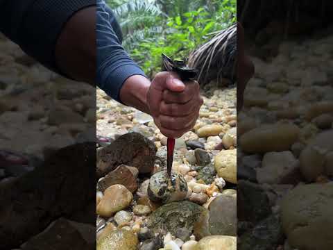 Omg Moss agate finding, that is beautiful #usa #gemstones #satisfying #agate #mossagate #nature